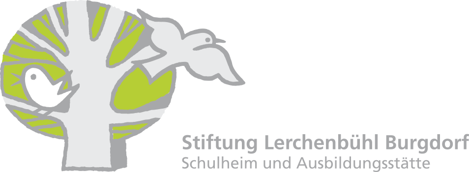 Stiftung Lerchenbühl Burgdorf